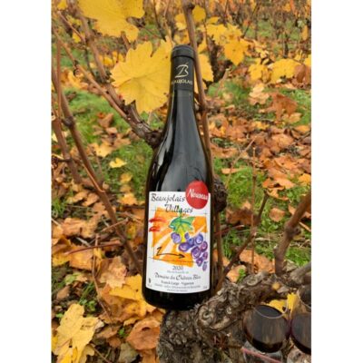 Beaujolais-Villages Nouveau 2025 (bouteille)