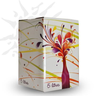 Beaujolais-Villages Nouveau 2025 (Fontaine)