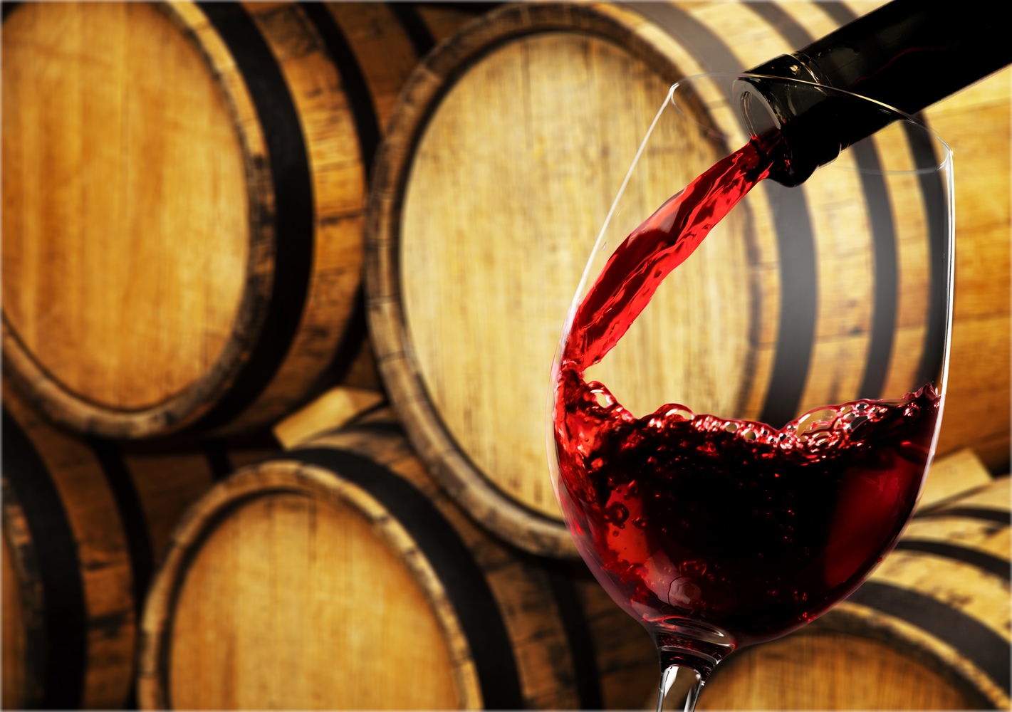 Beaujolais Nouveau 2023 : Porte ouverte au Domaine les 25 et 26 novembre