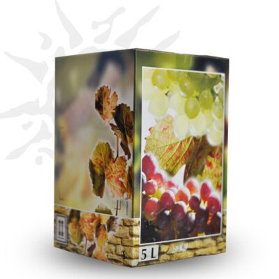 Beaujolais Villages rouge 2024 (fontaine)